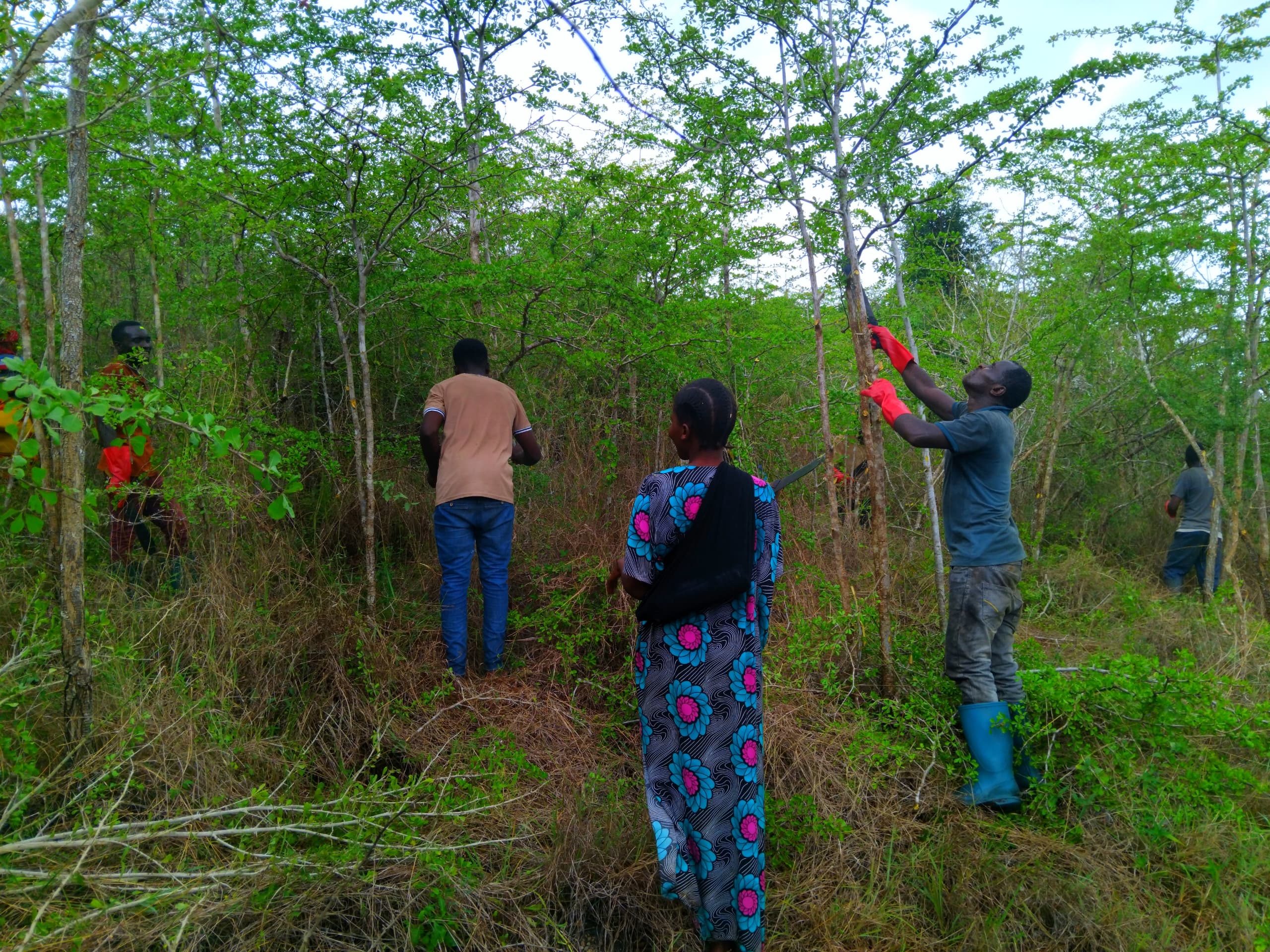 Community-led Nature-Based Solutions, The PRO-NDC Journey