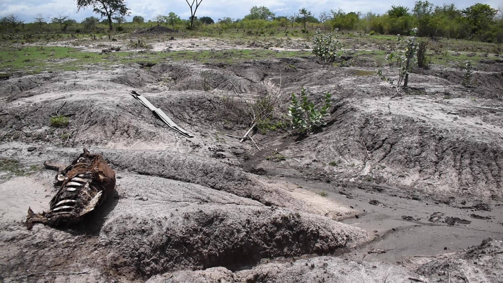 Can't take the heat: Drought Impact on Pastoralists in Kidomole