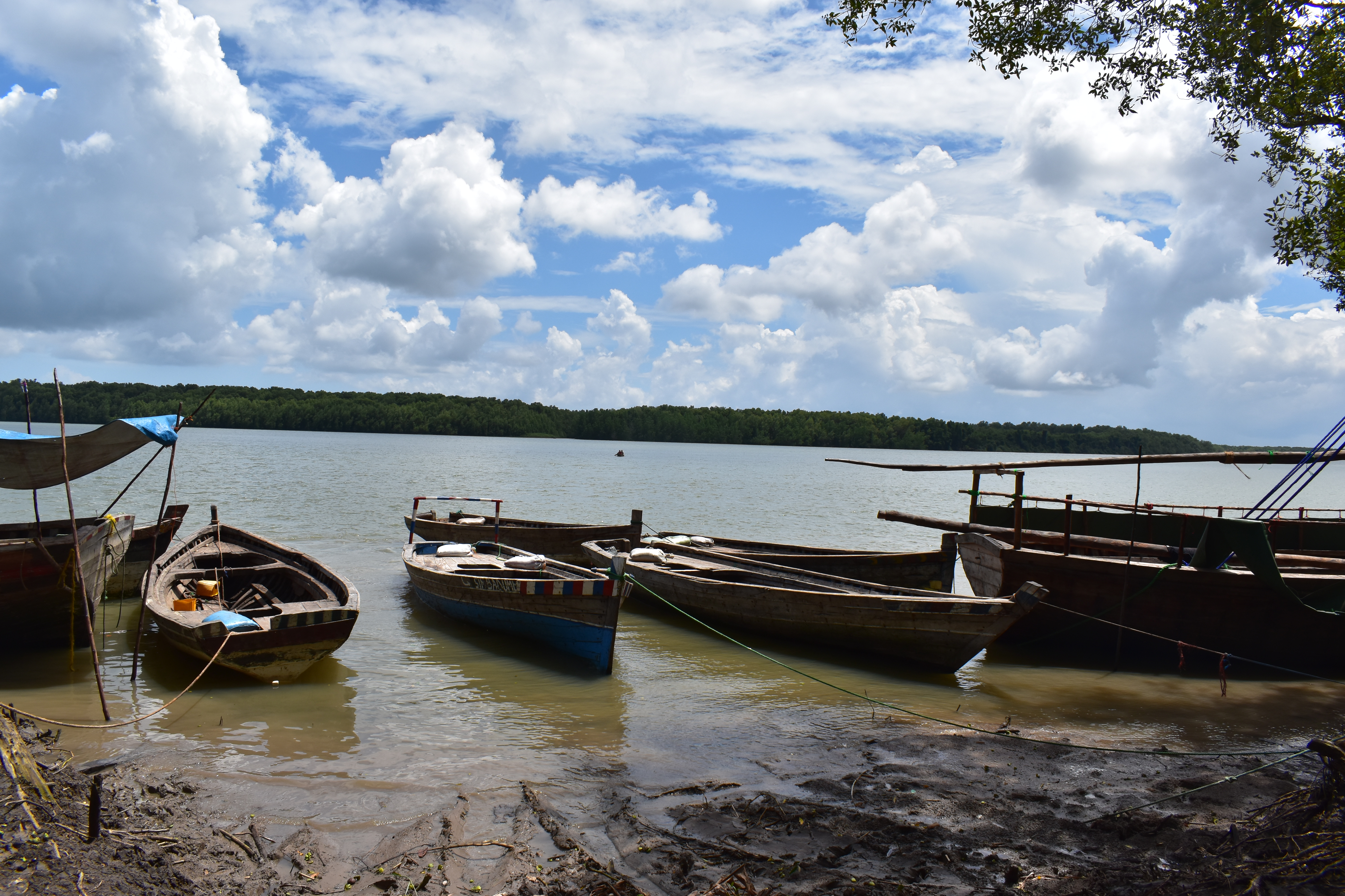 The sea is rising and so are we:  Kibiti Takes Climate Action and restore coastal mangroves