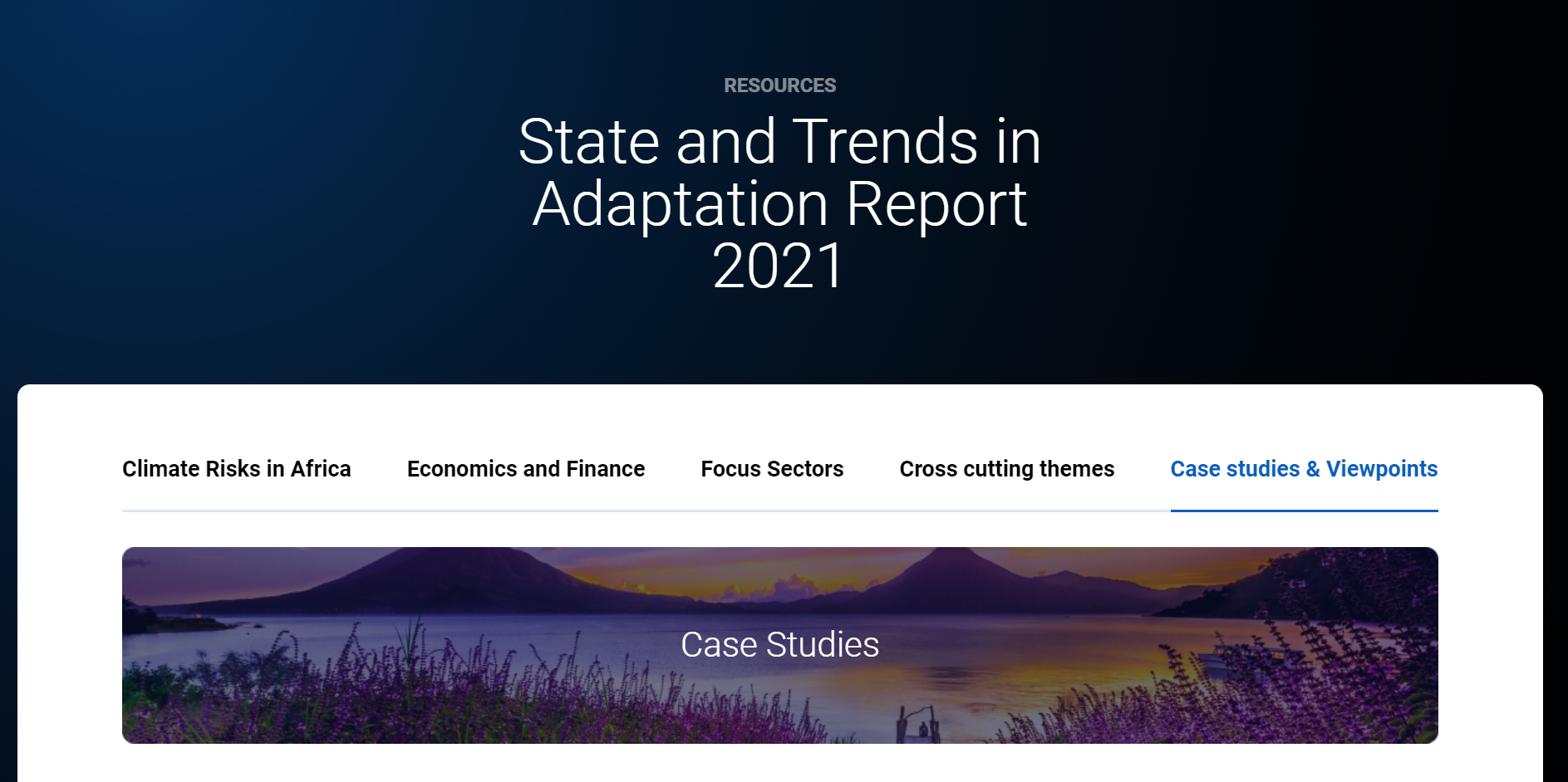 State and Trends in Adaptation Report 2021