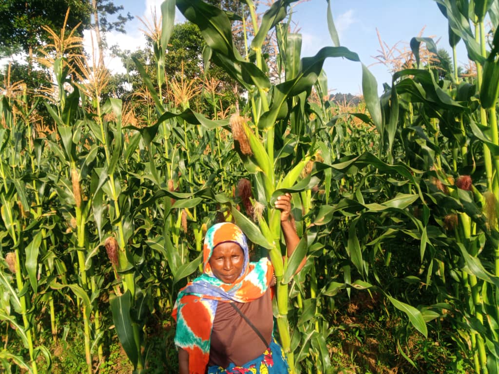 Utilization of Indigenous Knowledge (IK) Indicators in Weather Forecasting and Livelihood Planning in Coastal Regions of Tanzania